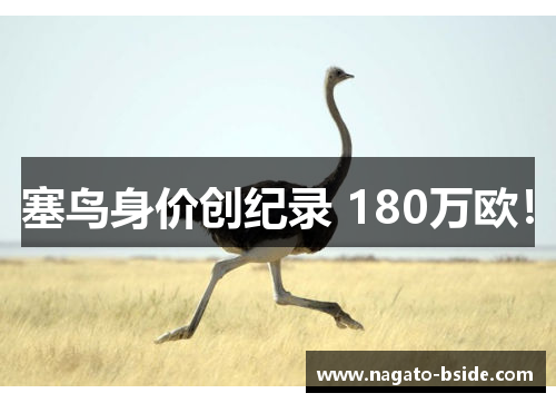 塞鸟身价创纪录 180万欧！